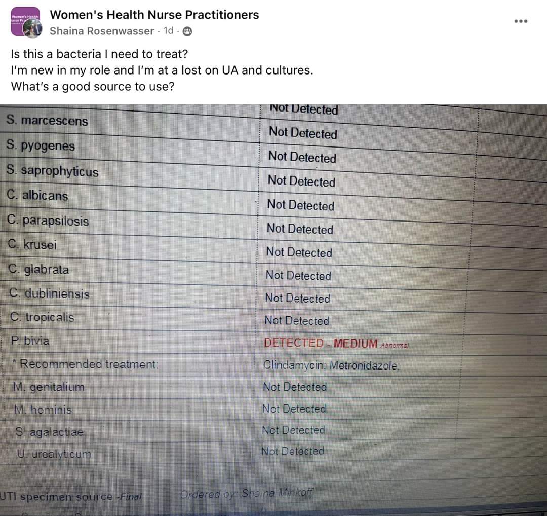 Women's Health NP is "at a lost" on urinalysis and cultures