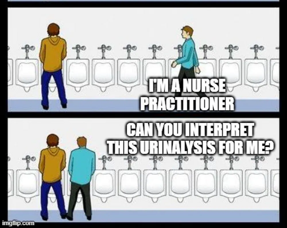 Women's Health NP is "at a lost" on urinalysis and cultures